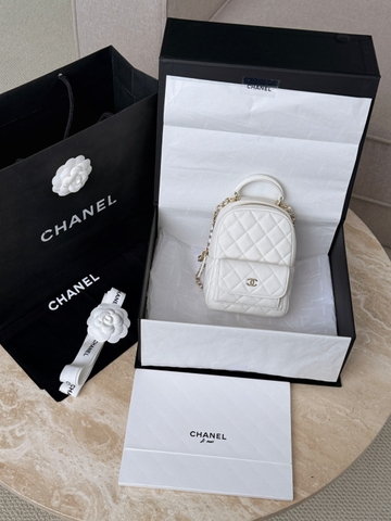 CHANEL BAG 19
