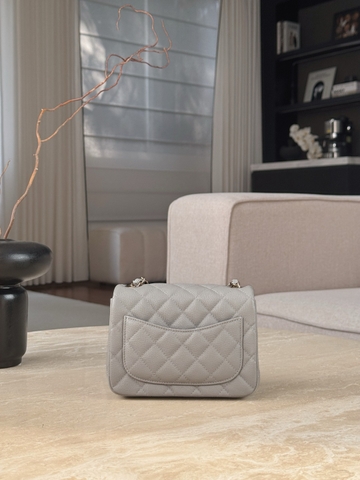 CF17 Elephant Gray Decorative