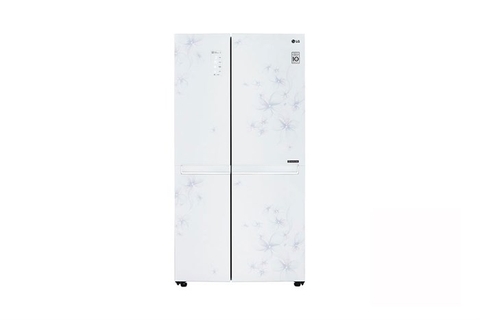 Tủ lạnh LG Inverter 626 lít GR-B247JP