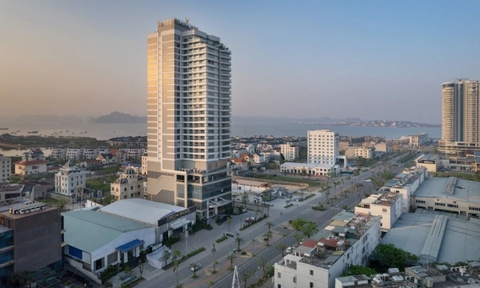 Delasea Hạ Long