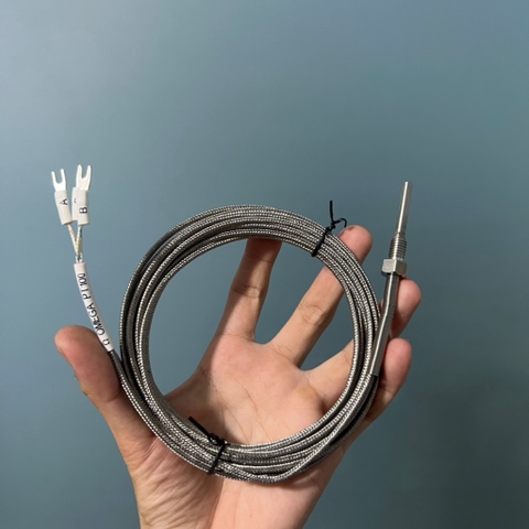 Cảm biến nhiệt độ PT100 Omega