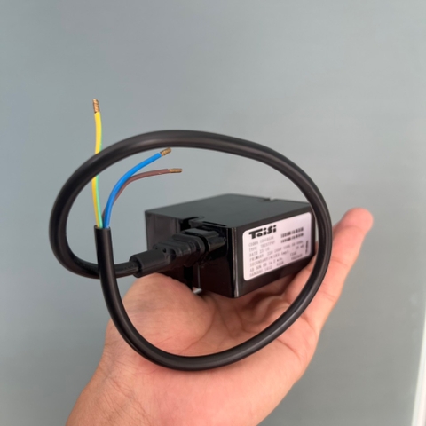 IC đánh lửa, IC Kích lửa đầu đốt Gas Taisi