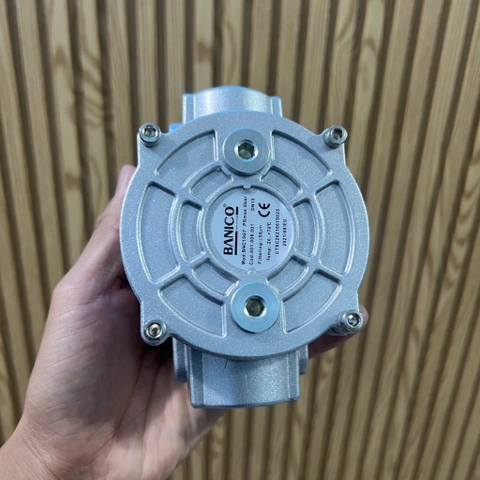 Lọc gas, Khí tự nhiên BANICO DN15