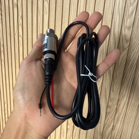 Cảm biến áp suất 16bar ngõ ra 4-20mA ren 13, 1/4
