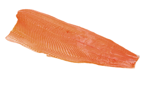 Fresh Norwegian Atlantic Salmon Fillet