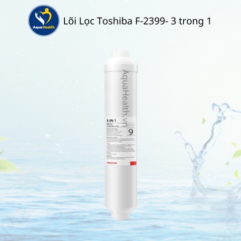 Lõi lọc Toshiba F-2399-3 trong 1-T33 - Lõi số 9