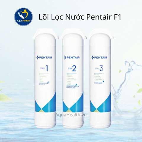 Lõi Lọc Nước Pentair F1