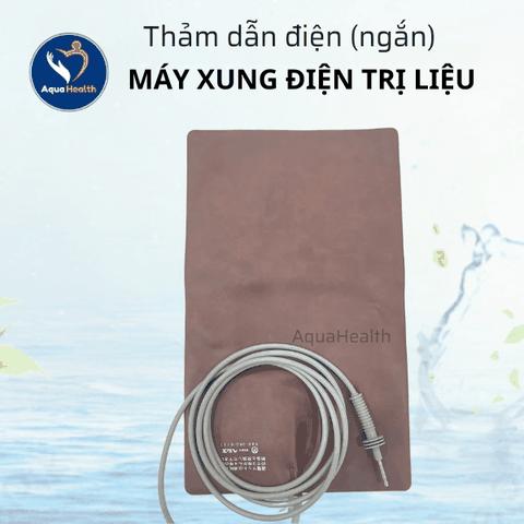 Thảm Dẫn Điện Máy Xung Điện Trị Liệu Toàn Thân