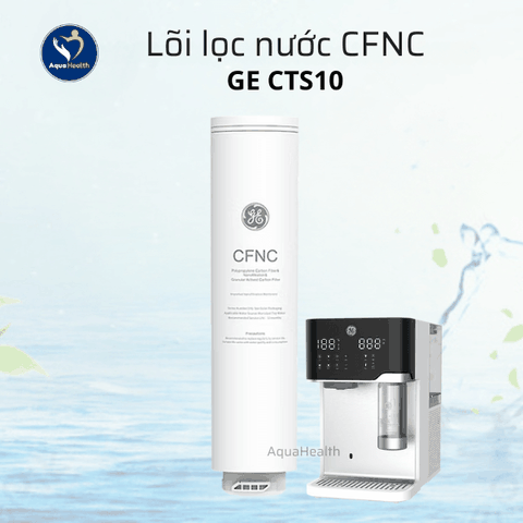 Lõi Lọc Nước GE CTS10
