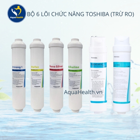 Bộ lõi lọc Toshiba 7 lõi (dùng cho máy TWP-H1660SVN(W), TWP-W1630SVN(W), TWP-W1035SVN(K)...)