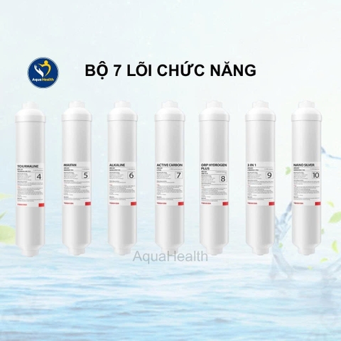 Bộ lõi lọc Toshiba Model TWP-W2399SVN(M) - Gồm 10 lõi