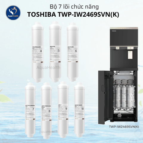 Bộ Lõi Lọc Toshiba TWP-IW2469SVN(K) – Gồm 10 Lõi
