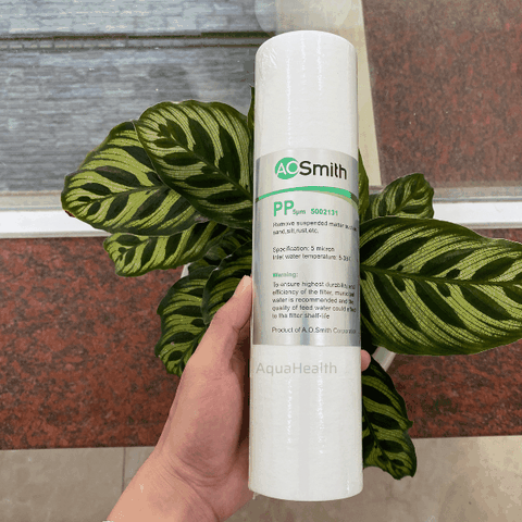 Bộ Lõi Lọc Nước A.O Smith AR600-C-S-1 (TANKLESS)