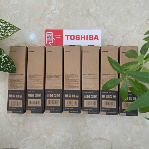 Bộ lõi lọc Toshiba TWP-N2396SVN(W) - Gồm 10 lõi