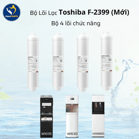 Bộ lõi lọc Toshiba F-2399 (MỚI) dùng cho máy W1630, W1035, H1660, N1660, N1686, N1843, W1905
