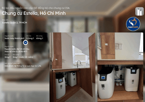 Hệ Thống Lọc Tổng GE WH15A - Bảo Vệ Sức Khỏe Và Nội Thất Toàn Diện