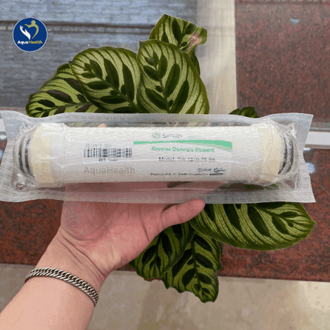 Bộ Lõi Lọc Nước A.O Smith A1/A2/M2