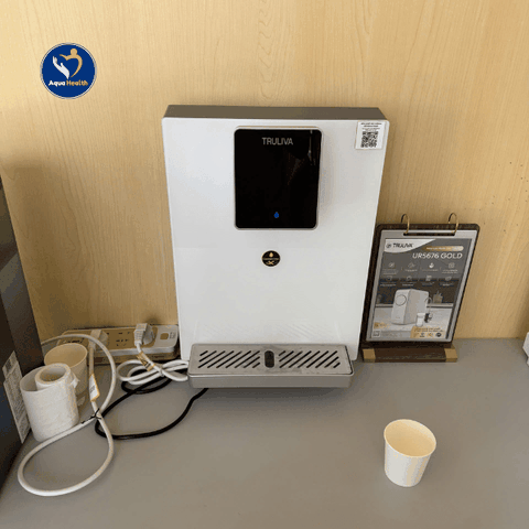 Máy Nóng Lạnh Treo Tường Truliva W6412