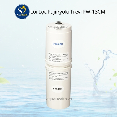 Lõi Lọc FW-13CM (dùng cho Trevi, Fuji Smart, Fujiiryoki...)