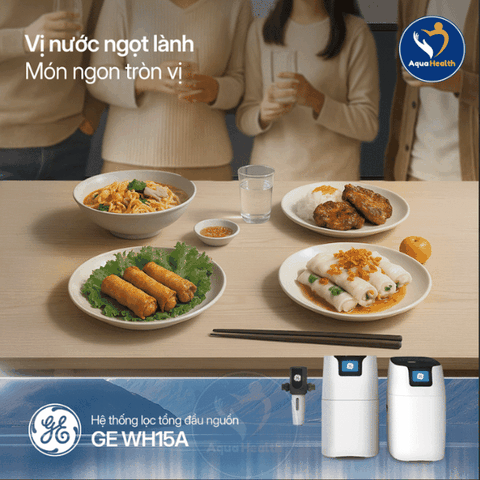 Hệ Thống Lọc Tổng GE WH15A - Bảo Vệ Sức Khỏe Và Nội Thất Toàn Diện
