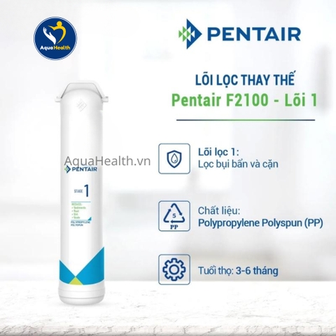 Lõi Lọc Nước Pentair F2100