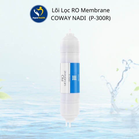 Lõi lọc Coway P-300R