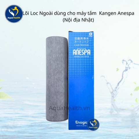 Lõi lọc máy tắm Enagic Anespa (Gồm lõi trong và lõi ngoài)