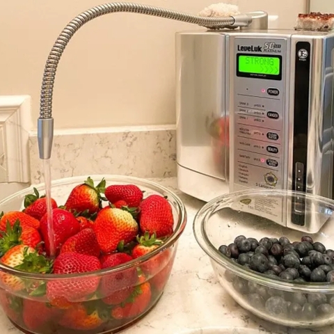 Máy điện giải Kangen SD501 Platinum