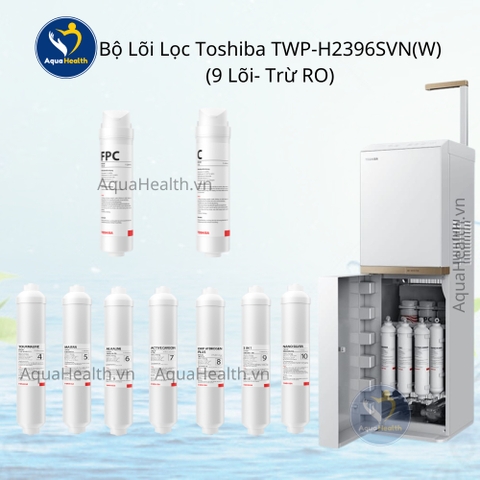 Bộ lõi lọc Toshiba TWP-H2396SVN(W) - Gồm 10 lõi