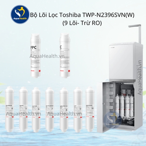 Bộ lõi lọc Toshiba TWP-N2396SVN(W) - Gồm 10 lõi