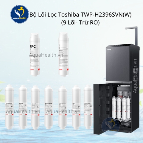Bộ lõi lọc Toshiba Model TWP-W2396SVN(M) - Gồm 10 lõi