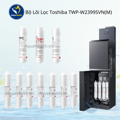 Bộ lõi lọc Toshiba Model TWP-W2399SVN(M) - Gồm 10 lõi