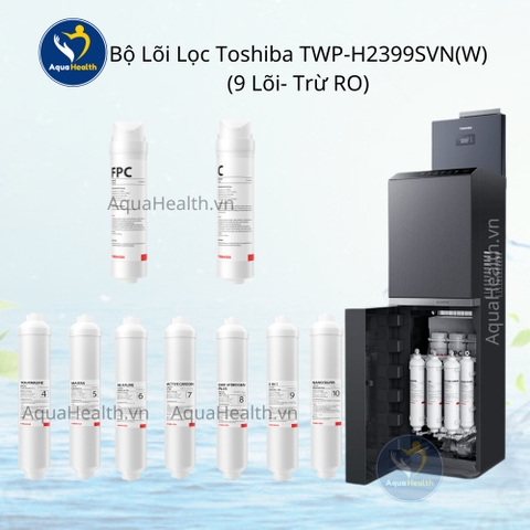 Bộ lõi lọc Toshiba Model TWP-W2399SVN(M) - Gồm 10 lõi