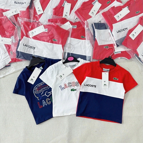 SÉT 3 ÁO LACOSSS CHO BÉ - PHÔNG CÁ SẤU THÊU SIÊU XINH!