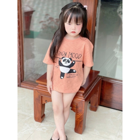 SET 2 ÁO BÉ GÁI COTTON XƯỚC