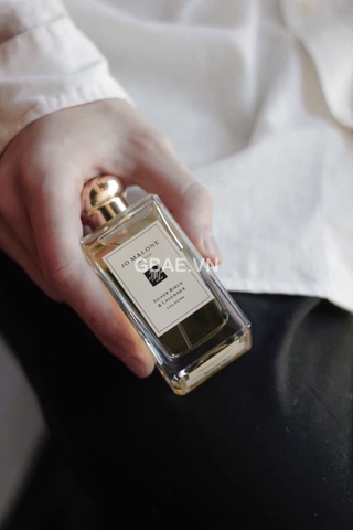 Nước hoa Jo Malone Silver Birch & Laverder 100ml