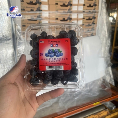 Việt Quất Mỹ