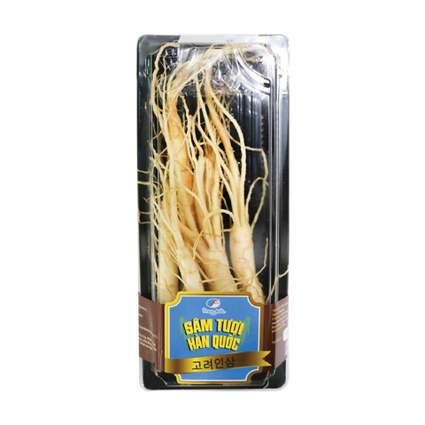 Sâm Tươi Hàn Quốc 100g