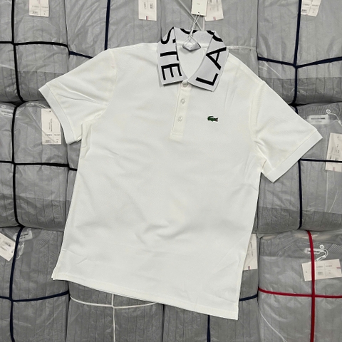 Áo POLO CÁ SẤU Thun Unisex Nam Nữ Wonderfull Cực Hot, Áo Phông Form Rộng Tay Lỡ Vải Cotton 2 Chiều Thoáng Mát