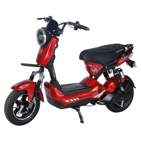 Xe đạp điện Aima G5
