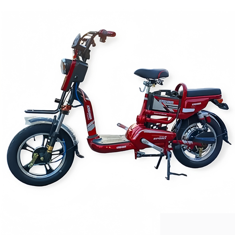 Xe đạp điện Kashima K4