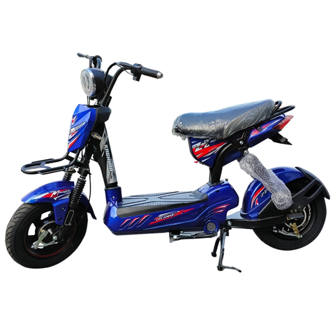 Xe đạp điện Kashima M5 (M133)