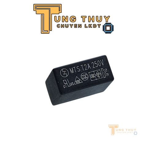 10 Chiếc Cầu Chì Vuông Đen Xám 250V 2A