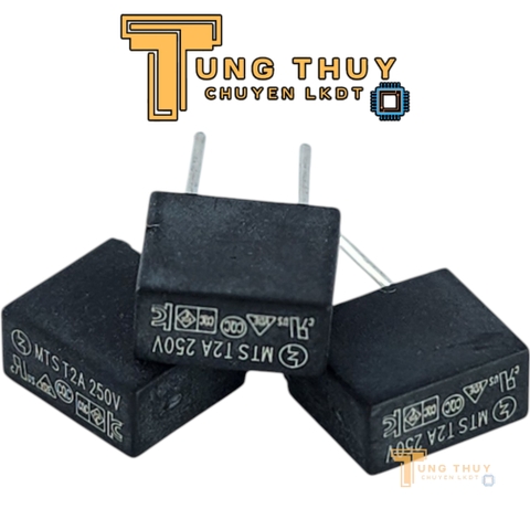 10 Chiếc Cầu Chì Vuông Đen Xám 250V 2A