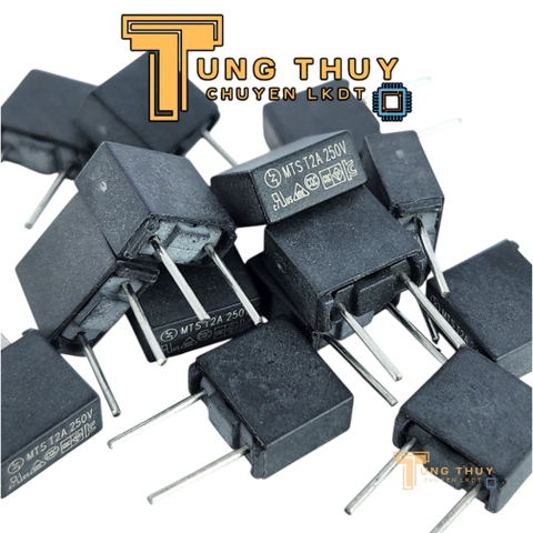 10 Chiếc Cầu Chì Vuông Đen Xám 250V 2A