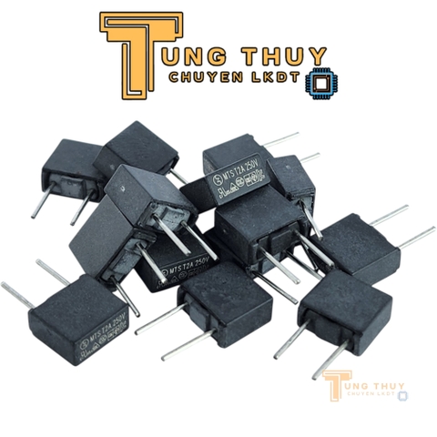 10 Chiếc Cầu Chì Vuông Đen Xám 250V 2A