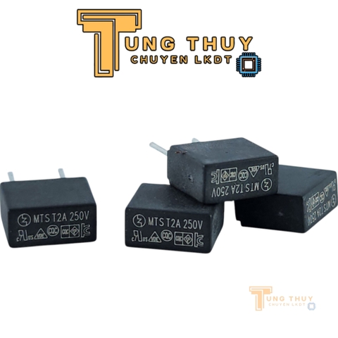 10 Chiếc Cầu Chì Vuông Đen Xám 250V 2A