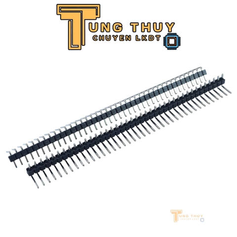 Jump Đực Cái Đơn Đôi  40P Chân Thẳng và Cong