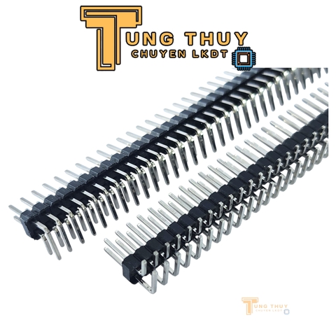 Jump Đực Cái Đơn Đôi  40P Chân Thẳng và Cong