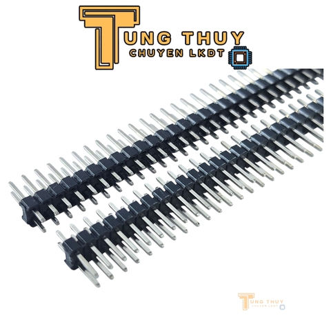 Jump Đực Cái Đơn Đôi  40P Chân Thẳng và Cong